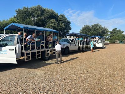 Corolla Wild Horse Tours photo