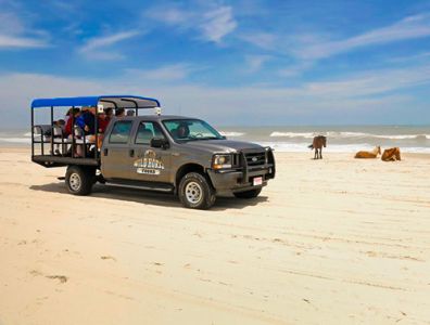 Corolla Wild Horse Tours photo